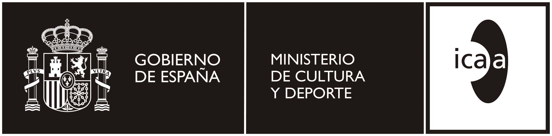logo-icaa-negro