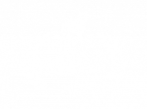 poff 2022 tallinn black nights white