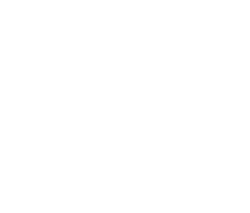 POFF2025_rebels_white copia